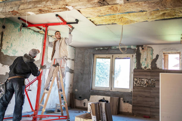 Best Geographic-Specific Insulation Services in Moa, UT